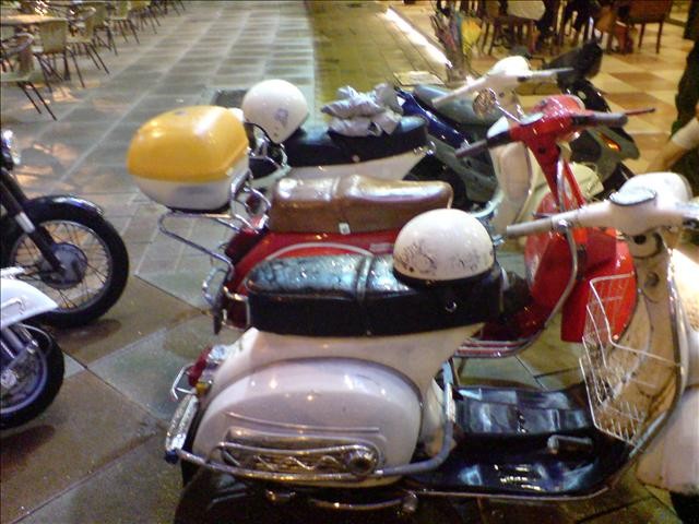 DSC00254.jpg