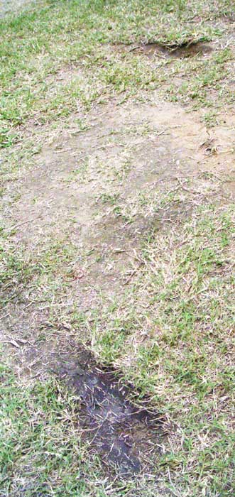 PICT0004.JPG